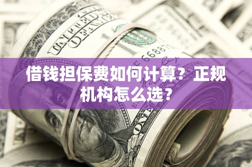 济南借钱担保费如何计算？正规机构怎么选？