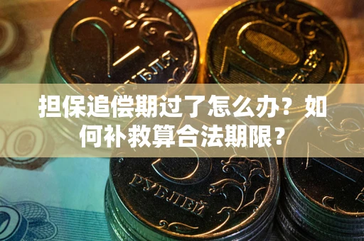 济南担保追偿期过了怎么办？如何补救算合法期限？