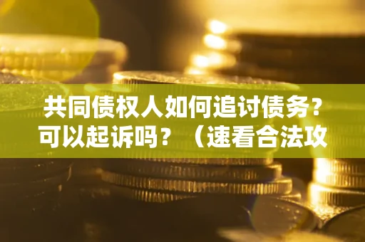 济南共同债权人如何追讨债务？可以起诉吗？（速看合法攻略）