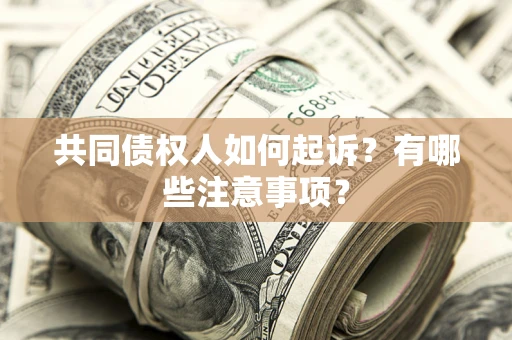 济南共同债权人如何起诉？有哪些注意事项？